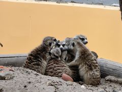 -北京野生动物园