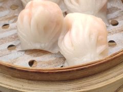 悦湖玉液虾饺皇-悦湖公馆