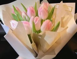 -加帕瑜伽培训学院