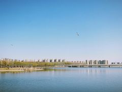 -丁香湖公园