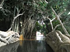 -龙达温泉生态城