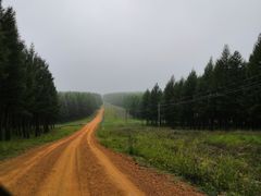 -塞罕坝国家级自然保护区