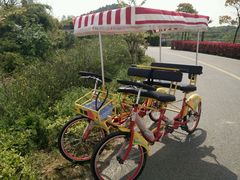 android_upload_pic-三山岛