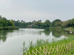 -海珠湖公园