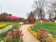 -秀丽东方