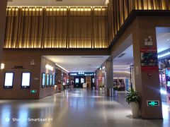 -深影国际影城(学院南路店CGS中国巨幕店)