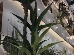 -兰湘子·湘菜小炒(崂山丽达店)