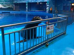 -多彩贵州城极地海洋世界