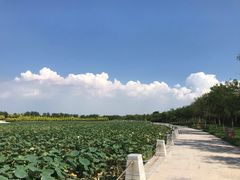 -天津东丽湖风景区