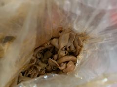 -黄毛鸭脖(汉阳总店)