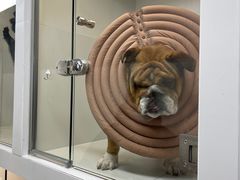 -comecome来吧宠物(奥克斯中心店)