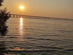 -宝安西湾红树林湿地公园