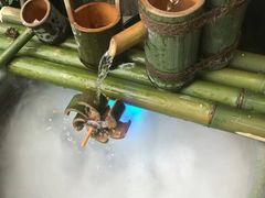 -吴越荣记苏州菜·松鼠桂鱼100%活鱼现做(斜塘老街店)