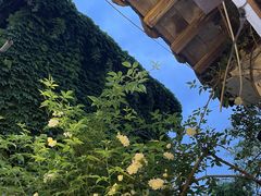 -鸡脚旮旯平江路店