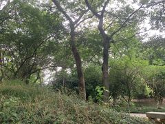-八大山人梅湖景区