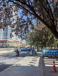-天津和睦家医院