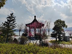 -东钱湖旅游度假区