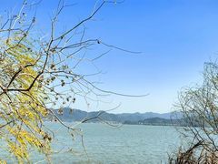 -东钱湖小普陀景区