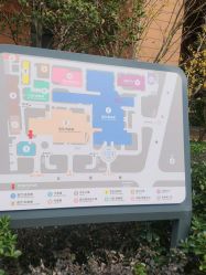 -上海交通大学医学院附属上海儿童医学中心(陆家嘴总院区)