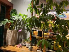 -谷咖啡·鲜花绿植花园餐厅