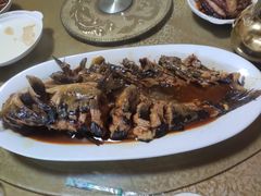 水库鱼-金台阶鱼馆(于桥水库店)