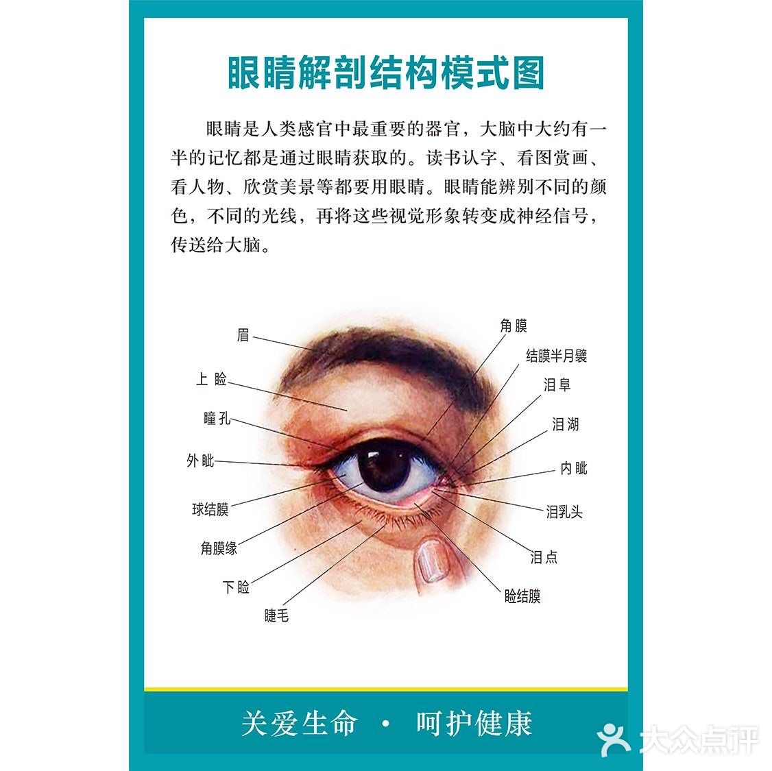 角膜位置图片