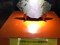 -紫金山天文台
