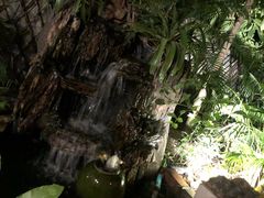 -Arunda oriental massage