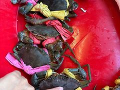 -不炭白烧烤(成都首店)