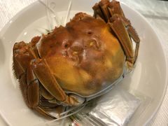 大闸蟹-榕树下海鲜馆(坪山路店)
