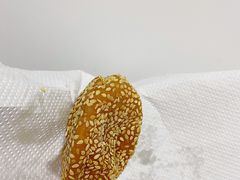 芝麻球-清泉阁包子铺(中山路店)