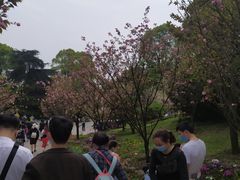 -南山植物园