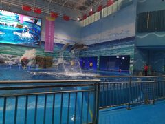 -多彩贵州城极地海洋世界