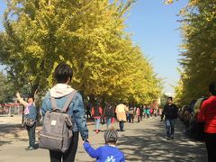 -辽宁大学(崇山校区)