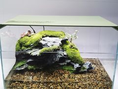 -国家会展中心
