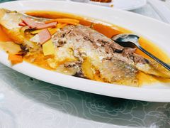 清蒸鲥鱼-金米箩大酒店(五角场店)