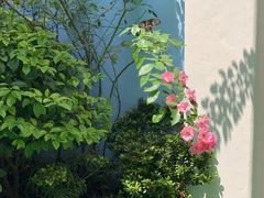 -吉的堡幼儿园(上海徐家汇路园)