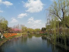 -圩墩遗址公园