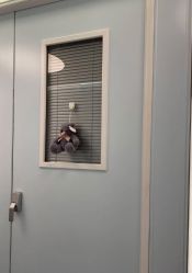 -杭州贝瑞斯美华妇儿医院·早孕·产检·儿科