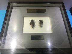 -上海昆虫博物馆