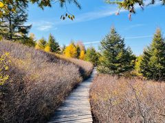 -苏木山森林公园