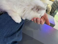 -极木²邸 人与宠物·互动社区