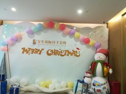 -宝生月子中心·独栋独院式(南山店)