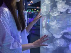 -重庆欢乐海底世界