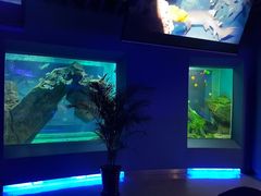 -石家庄海洋公园