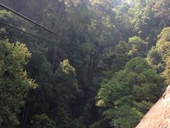 -清迈丛林飞跃 JungleFlight