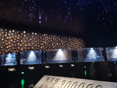 -侵华日军南京大屠杀遇难同胞纪念馆
