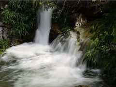 -水磨沟环境自然保护区