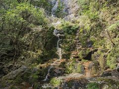 -永州阳明山国家森林公园