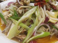 -马黑哥椒麻鸡(清江山水店)